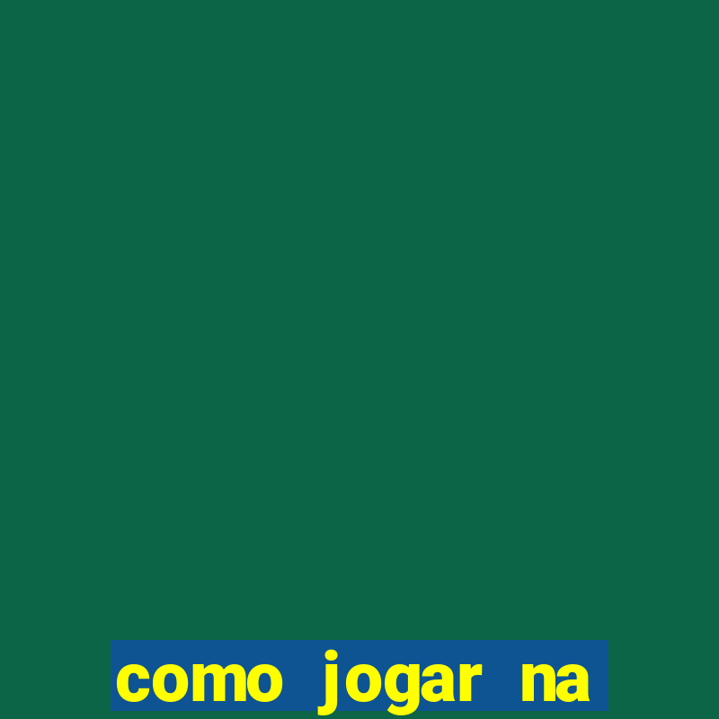 como jogar na lotinha do jogo do bicho